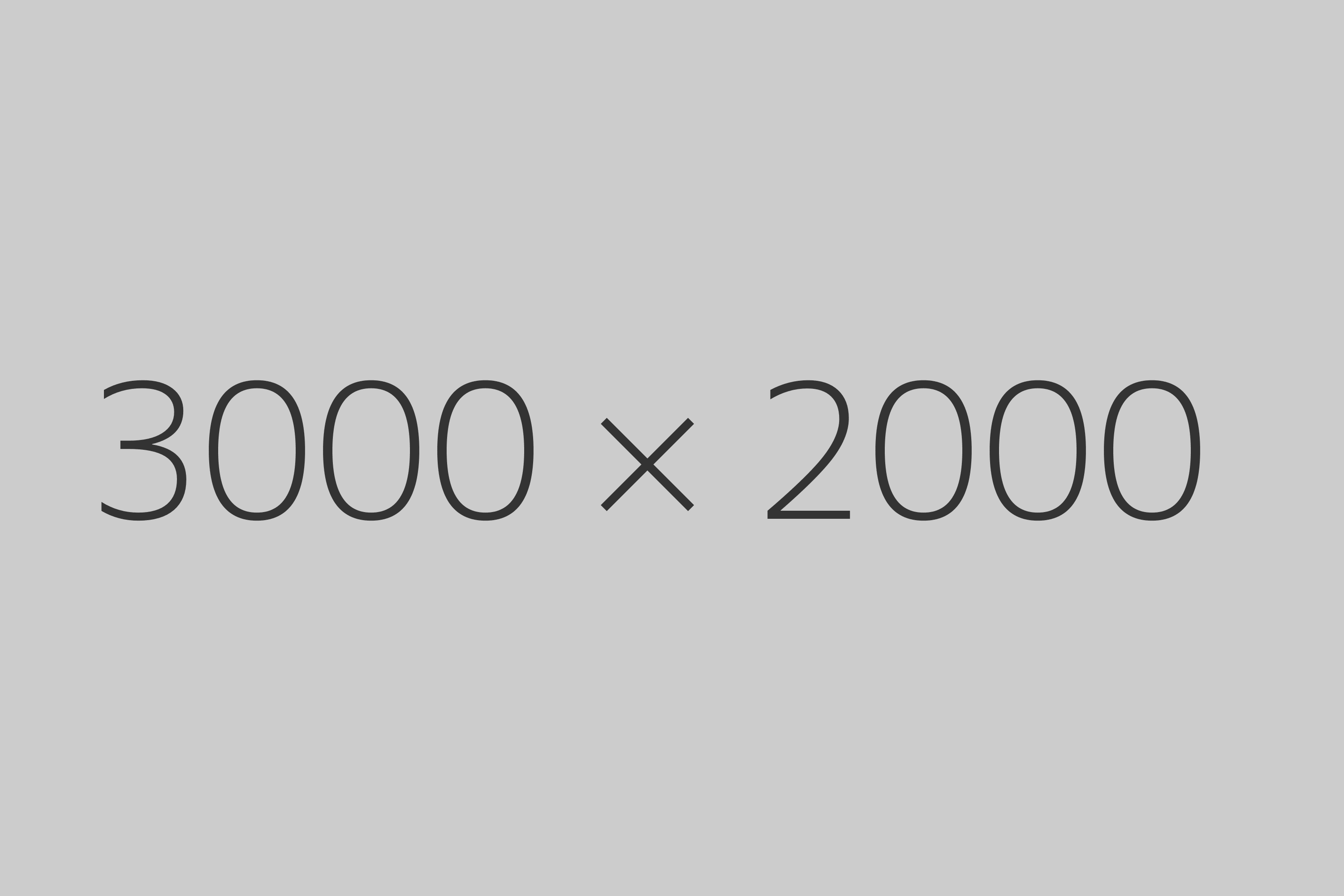 3000 x 2000 example image