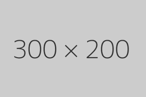 300 x 200 example image