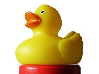 A rubber duck