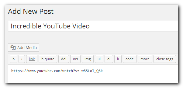 Wordpress Post with video link